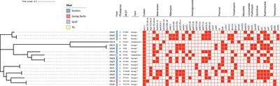 Prevalence and Characteristics of mcr-1-Producing Escherichia coli in Three Kinds of Poultry in Changsha, China